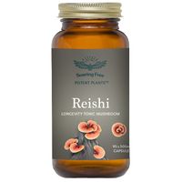 Soaring Free Reishi Mushroom Capsules